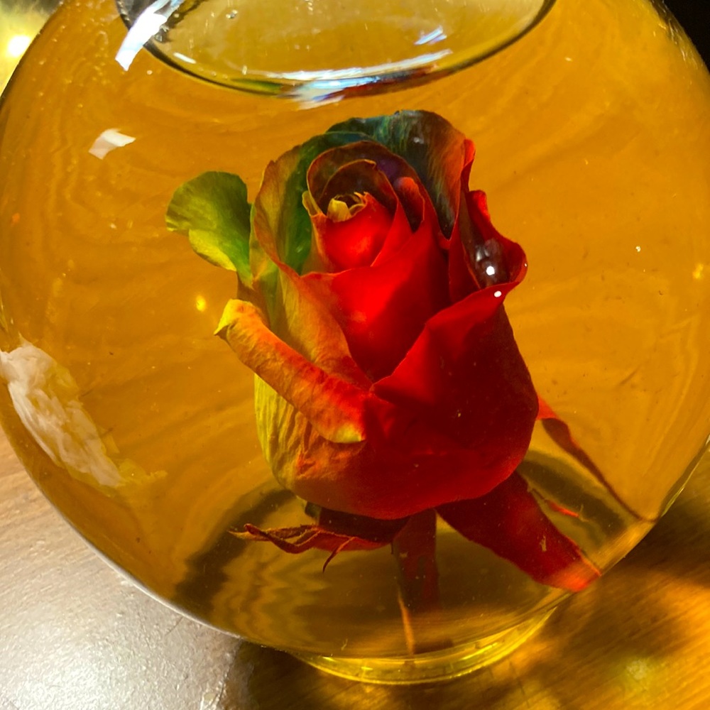 Water globe